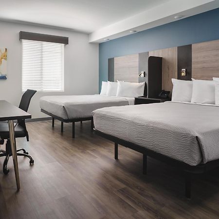 האנטרסוויל Stayapt Suites Charlotte North מראה חיצוני תמונה